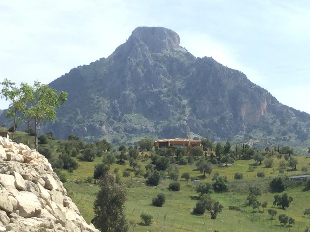 Los Cazadores Bed & Breakfast El Gastor Luaran gambar